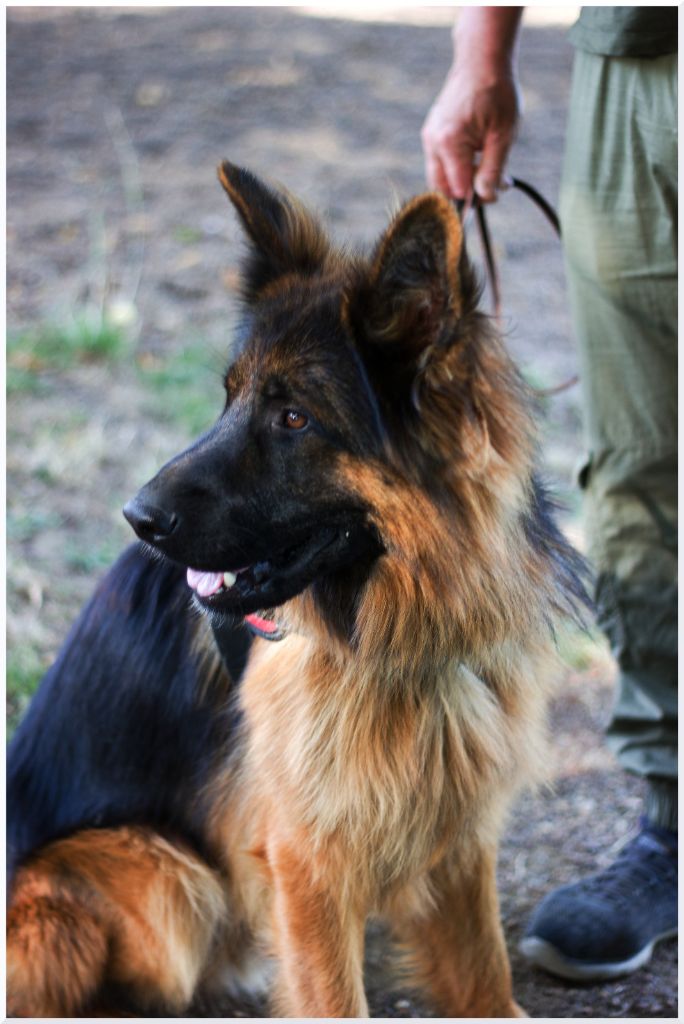 Venom Le Val De Ma Rhea-lité