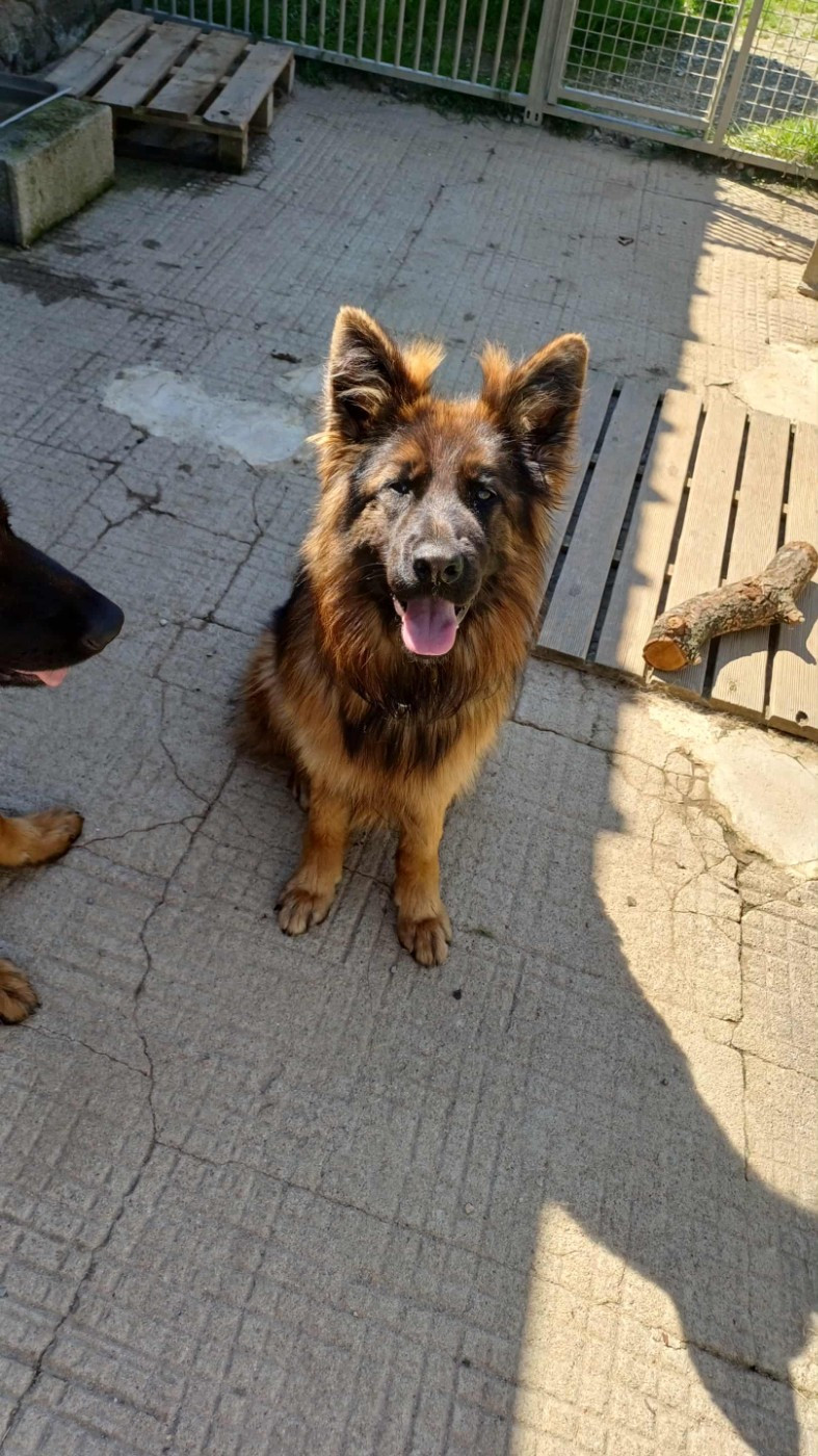 Varaï Le Val De Ma Rhea-lité